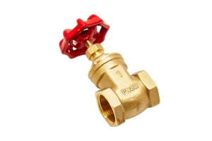 Brass Gate Valve PN20 15mm - 50mm - Picture 1 of 1