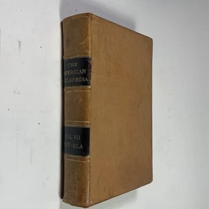 1879 American Cyclopaedia Volume 7 (VII) Leather Antique Encyclopedia Single - Picture 1 of 8
