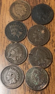 Indian Cents,1896X2,1898,1907X2,1902,1906,1904,Get (8) Of These Coins S208 - Bild 1 von 2