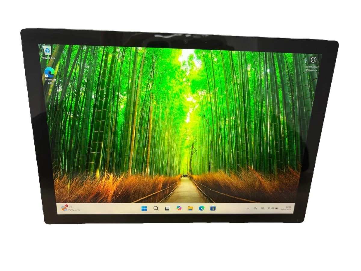 Microsoft Surface Pro 5 256 GB Storage Capacity Tablets & eReaders