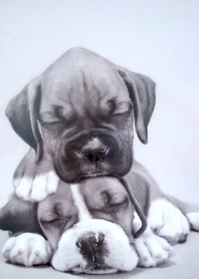 Tarjeta de felicitación vintage de papiro cachorros perro día de San Valentín ~ ¿Quieres acurrucarte? Foto 1 de 2