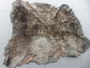 sheepskin shearling leather hide Speckled Dappled Creams & Browns Super silky - Picture 1 of 5