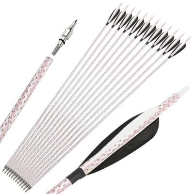 30" Carbon Arrows Archery SP500 4" Feather Compoundbow Recurve Bow Tips Hunting - Image 1 of 4