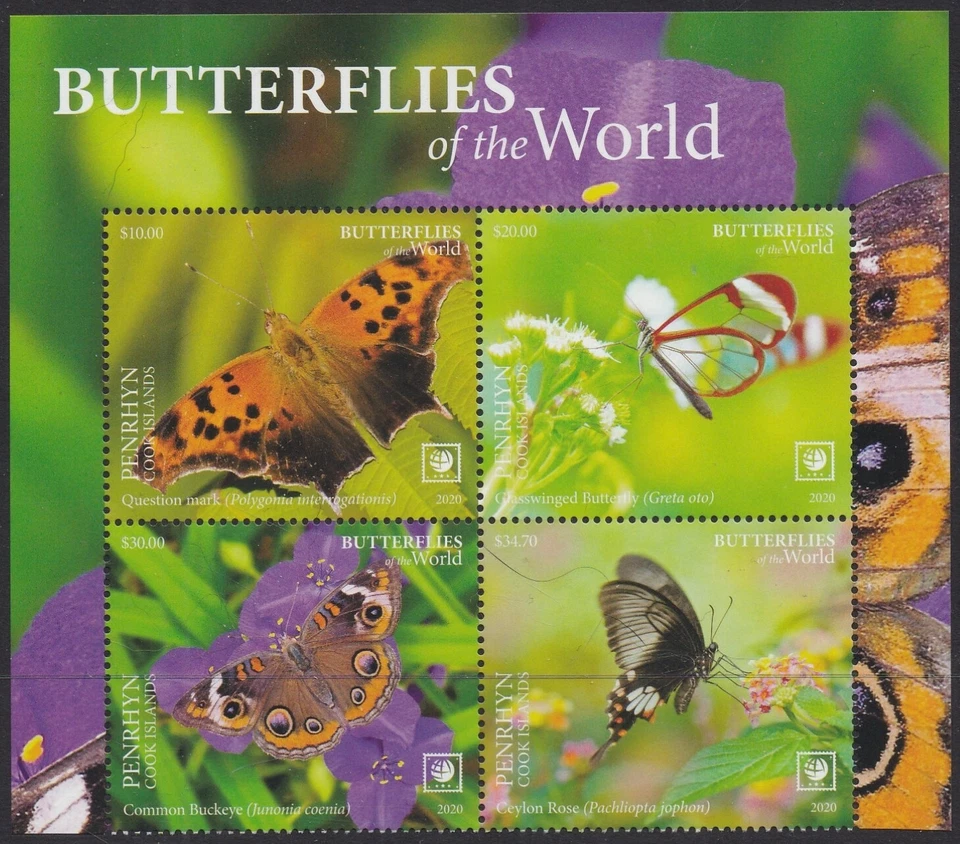 Penrhyn (2020) Butterflies of the World, Part II, Large Stamp - BK/4, Top - Image 1 of 1