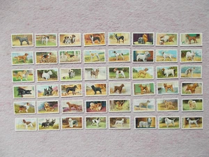 TARJETAS DE CIGARRILLOS DE GALLHER'S - PERROS - Imagen 1 de 2