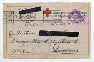 WWI Rotes Kreuz - Postkarte Kriegsgefangener - Alpen in Ungarn 1918 #33 - Bild 1 von 2