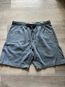 Mens PacSun Gray Blue Volley Shorts Size M - Picture 1 of 6