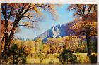 California CA Yosemite National Park Valley Autumn Glory Postcard Old Vintage PC