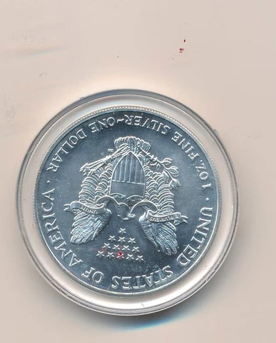 1999 Pure Silver Dollar Coin American Silver Coin Eagle Dollar Cover