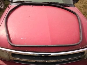 1998 - 2002 Dodge Durango Pass Side Front Door Seal/Weather Strip Used OEM Part - Picture 1 of 2