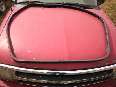 Dodge Durango Pass 1998-2002 sello de puerta delantera lateral/tira climática usada pieza OEM Foto 1 de 2