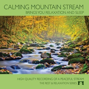 Calming Mountain Stream - Nature Sounds for Relaxation, Sleep, White Noise, NEW - Picture 1 of 7