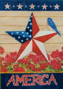 "AMERICA" Country Star - House Flag - Picture 1 of 1