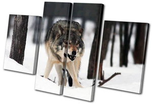 Tiere weißer Wolf wild MULTI LEINWANDBILD WANDBILD Bild Druck VA - Bild 1 von 1