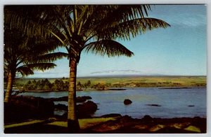 c1960s Hilo Harbor East Coast Hawaii Largest Islands Chrome Postcard - Picture 1 of 2