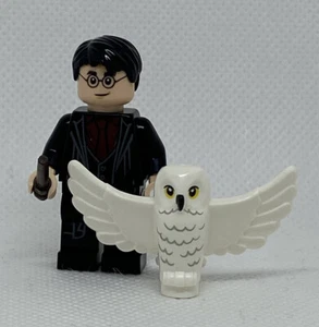 NEW LEGO Harry Potter and Hedwig Astronomy 75969 Minifigure Mini Figure - Picture 1 of 6