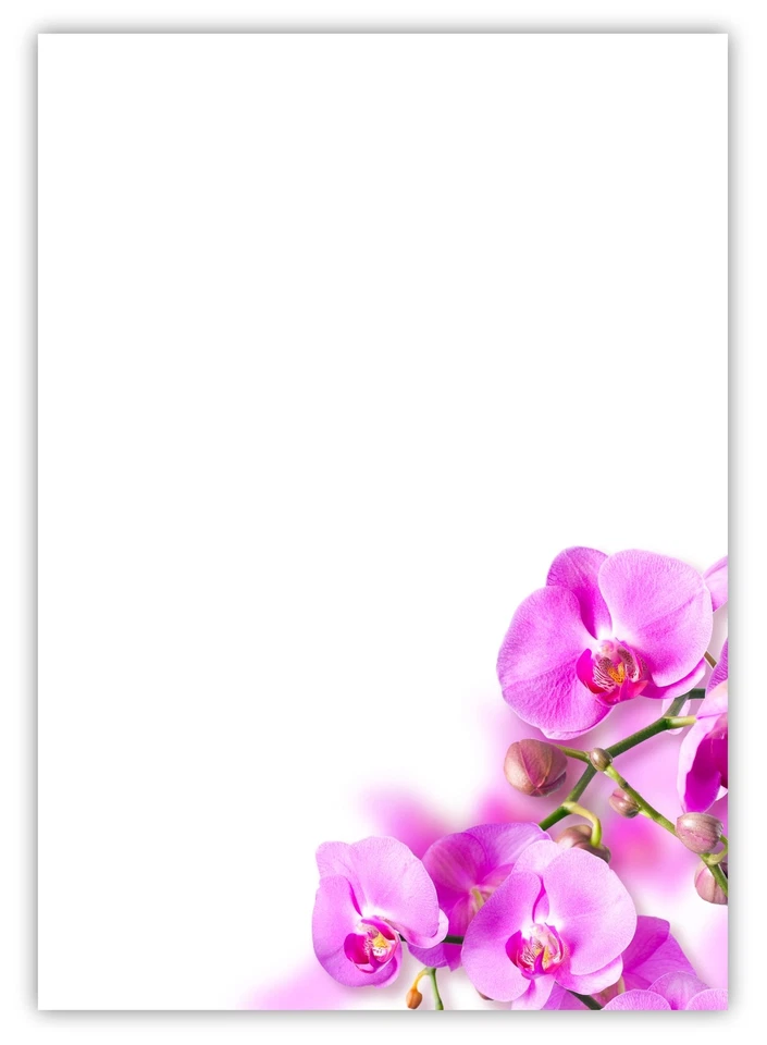 LYSCO® 100 Blatt Motivpapier-5029 A4 Blumen rosa pink Orchideen Blüten Briefpapier TOP