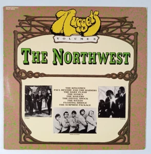 Nuggets Vol. 8 The Northwest Lp Rhino Compilation - Imagen 1 de 4