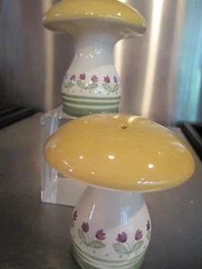 Pfaltzgraff CIRCLE OF KINDNESS ~ IRISH COUNTRY ~ Salt Pepper Shakers NEW - Picture 1 of 3