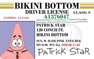 Patrick Star Drivers License 3.4” X 2.2” Laminated ID Card. - Picture 1 of 2