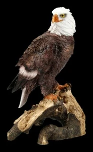 Weißkopfseeadler Figur auf Ast - Wildtier Vogel Adler Dekostatue - Bild 1 von 6