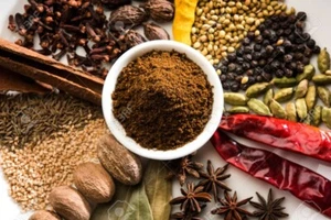 Garam Masala Powder Indian Hot Spices Blend of 13 Spices Select Pack - Picture 1 of 2