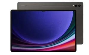Samsung Galaxy Tab S9 Ultra 14.6" Android 13 Wi-Fi Graphite - Foto 1 di 3