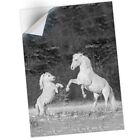 1 x Vinyl Sticker A1 - BW - White Horses in Winter Shetland Pony #42325