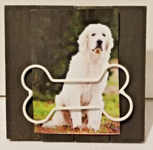 Doggy Black Wood With Bone Wire Clip Frame 2x3  - Picture 1 of 3