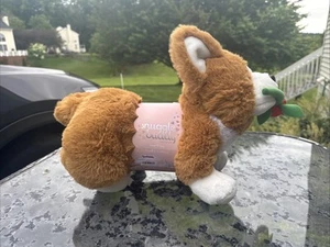 Snuggle Buddy Australia Corgi Heat & Hug Microwave Removable Belly Warmth NWT - Picture 1 of 10