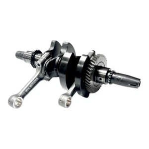 Conjunto de cigüeñal compatible con Polaris RZR 900 (2013-2014) - Imagen 1 de 9