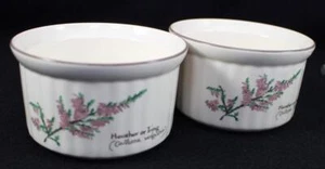 Noritake Country Diary of an Edwardian Lady Set of Two Ramekins 1906 - Picture 1 of 5