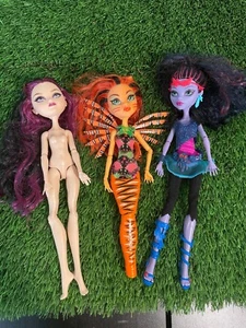 Monster High Doll Lot Ghulfisch Toralei '14, Jane Boolittle '08, Raven Queen '12 - Bild 1 von 7