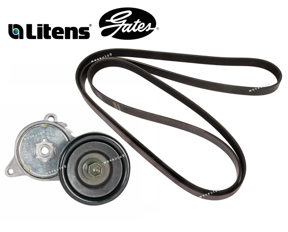 Kit de tensor de correa y correa de transmisión para Acura RDX TL TSX V6 3,5 L 3,7 L Foto 1 de 1