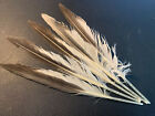 5pcs 20-22cm Natural Shed Black and White Genuine Real Bird Feathers DIY Craft