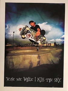 SKATEBOARD, NOMAD, 'SCUSE ME WHILE I KISS THE SKY' SELTENES AUTHENTISCHES POSTER 2003 - Bild 1 von 9