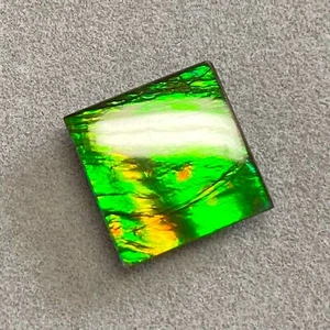 Canadian Ammolite Ammonite Triplet 10X10 mm #2850-27 - Picture 1 of 9