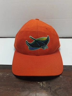 Vintage Tampa Bay Rays Snapback MLB Baseball Cap RARE Colorway Twins Enterprise - Image 1 of 4