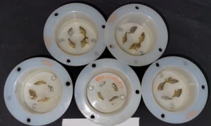 Nema L14-20P, 20Amp, 125/250V, 3P, 4W, Flansch-Einlassverriegelungsbuchse - Bild 1 von 1