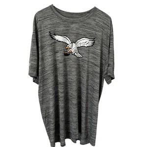 Philadelphia Eagles Men's 2X Nike Heather Gray Sideline Alternate Performance Sh - Picture 1 of 9