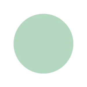 9" Mint Green Tulle Circle - 25 Pack (01169) - Picture 1 of 1