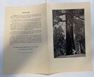 YOSEMITE AHWAHNEE MENU Aug 23 1948 5.5x8.5" Ansel Adams The Grizzly Giant - Bild 1 von 2