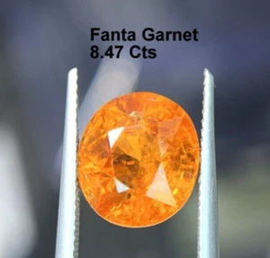 Granato Fanta Naturale Gemma Qualità AAA+ Granato Pietra Taglio Ovale Granato 8,47 Crt - Foto 1 di 4