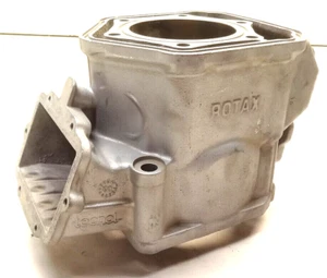 Ski-Doo Snowmobile 600 Engine MXZ GSX Cylinder Housing Replated - Picture 1 of 22