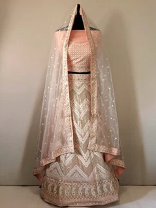 Indische ethnische Blumen Seidenfaden Stickerei mit Hochzeitsoutfit Lehenga Choli - Bild 1 von 9