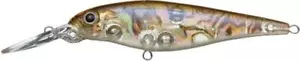 Evergreen SUPER SLEDGE #347 Abalone Wakasagi NEW - Picture 1 of 2