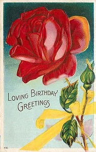Postcard Loving Birthday Greetings Red Rose Flower Emboseed pm 1909 - Picture 1 of 2