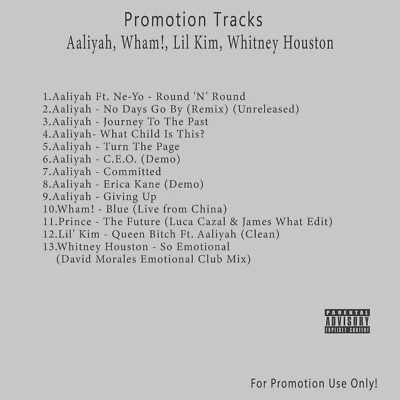 Pop, R&B, Rap/Hip-Hop.. White CD. Aaliyah, Wham!, Lil Kim, Whitney Houston Foto 1 de 2