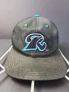 Neu Haven Ravens Druckknopflasche Mütze MiLB Vintage Baseball Wollmischung Kappe grün verblasst - Bild 1 von 6