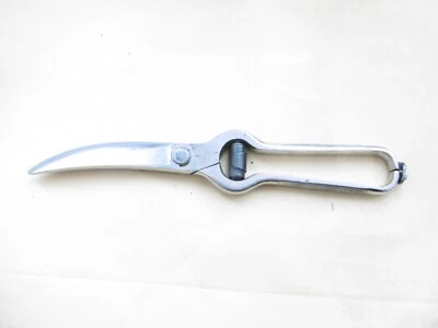 Original Alte Geflügelschere  Gottlieb Hammelsfahr Solingen  verchromt  25 cm - Bild 1 von 4